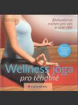 Wellness jóga pro těhotné - náhled
