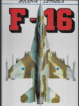 F-16 - náhled