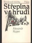 Střepina v hrudi - náhled