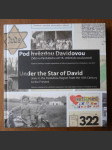 Pod hvězdou Davidovou: Židé na Pardubicku od 16. století do současnosti - náhled