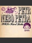 Petr nebo petra - náhled