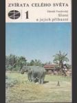 Zvířata celého světa - 1 - Sloni a jejich příbuzní - náhled