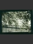 Venkovský plot - originální fotografie - náhled