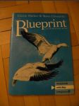 Blueprint - workbook - náhled