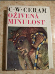 Oživená minulost - náhled