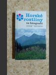 Horské rostliny ve fotografii - náhled