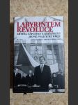 Labyrintem revoluce - aktéři, zápletky a křižovatky jedné politické krize - (od listopadu 1989 do června 1990) - náhled