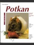 Potkan jako domácí zvíře - správná péče a porozumění - rady odborníků pro vhodný chov - náhled