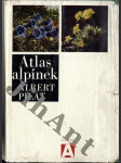 Atlas alpínek - náhled