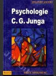 Psychologie C.G. Junga - náhled