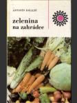 Zelenina na zahrádce - náhled