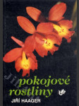 Pokojové rostliny - náhled