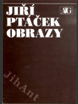 Jiří Ptáček - Obrazy - náhled