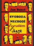 Svoboda nechodí v rudém šatě - náhled