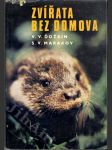 Zvířata bez domova - náhled