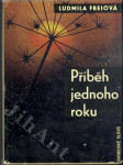 Příběh jednoho roku - náhled