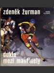 Dukla mezi mantinely - náhled