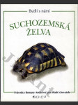 Suchozemská želva - náhled