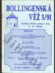 Bollingenská věž 3/91 - náhled
