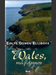 Wales, můj domov - náhled