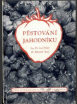 Pěstování jahodníku - náhled