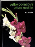 Velký obrazový atlas rostlin - náhled