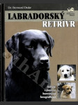 Labradorský retrívr - náhled