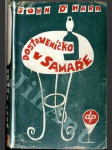 Dostaveníčko v Samaře - náhled