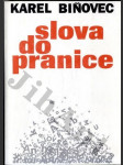 Slova do pranice - náhled