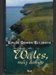 Wales, můj domov - náhled