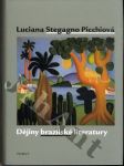 Dějiny brazilské literatury - náhled
