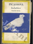 Picassova holubice - náhled