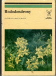 Rododendrony - náhled