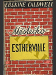 Městečko Estherville - náhled