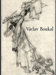 Václav Boukal - náhled