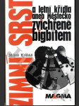 Zimní srst a letní křídla aneb Městečko zvichřené bigbítem - náhled