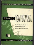 Ženská kapavka - náhled