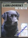 Labradorský retrívr - duke bernard - náhled