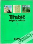 Třebíč - dějiny města I. - II. - náhled