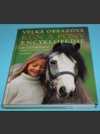 Kůň a pony - Velká obrazová encyklopedie - náhled