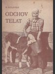 Odchov telat - náhled