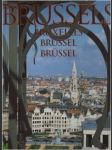 A portrait of brussels: bruxelles brussel brussel - náhled
