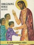 Obrázková bible k církevnímu roku - pro děti, mládež, rodiče a vychovatele - náhled