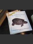 Bydlí s námi: Sladkovodní želva - náhled