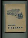 V Negebu - náhled