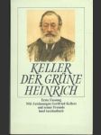 Der Grune Heinrich - náhled