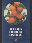 Atlas odrůd ovoce - náhled