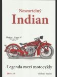 Nesmrtelný Indian - náhled