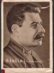 Stalin vo fotografii 1879 - 1949 - náhled