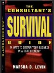 The Consultant´s Survival guide - náhled
